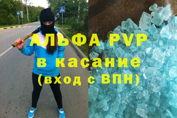 стаф Абинск