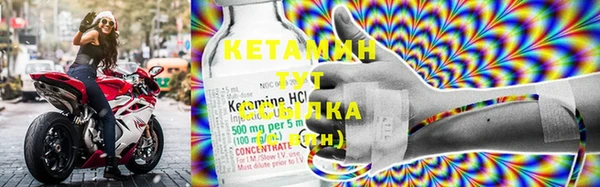 стаф Абинск
