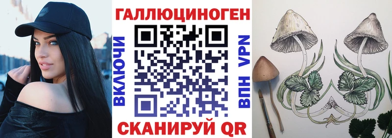 Псилоцибиновые грибы GOLDEN TEACHER  KRAKEN зеркало  Мосальск  где можно купить  